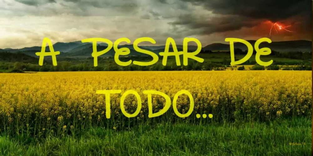 no rendirse